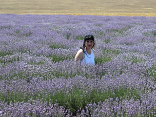 webcamsex AvroraFlower