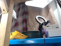 Angelyblue10