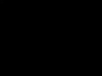 _Xamarha_