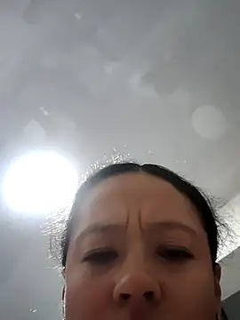 avispit